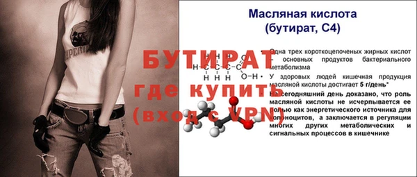 индика Надым