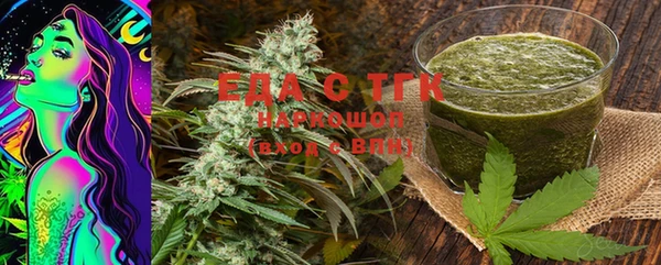 индика Надым