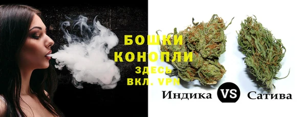 индика Надым