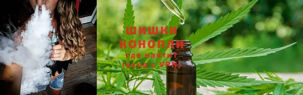 индика Надым