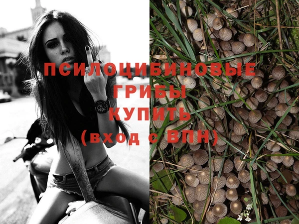 индика Надым