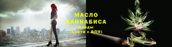 индика Надым