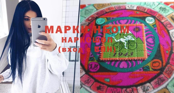 индика Надым