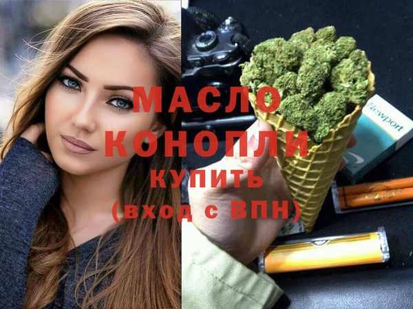 индика Надым