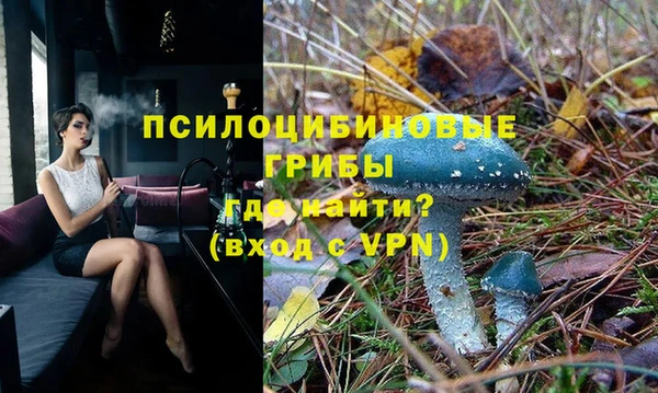 индика Надым
