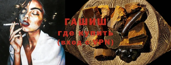 индика Надым