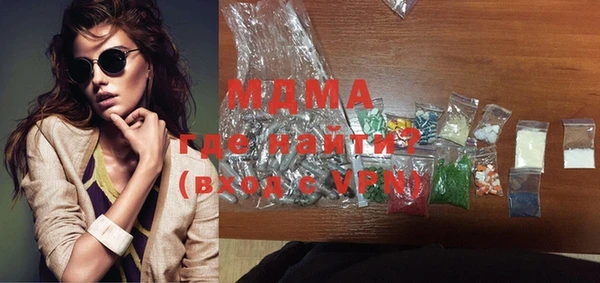 индика Надым