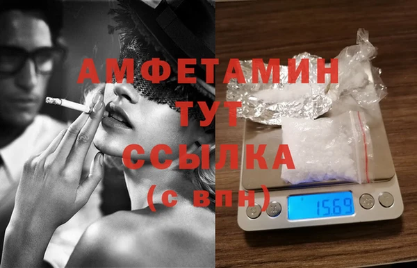 индика Надым