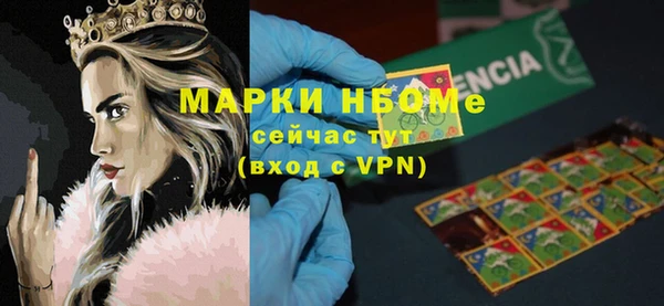 индика Надым
