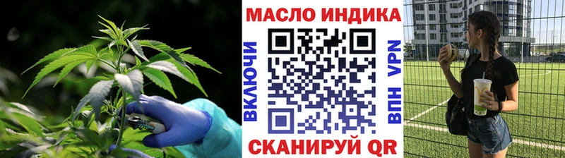 ТГК концентрат  закладки  мега как зайти  Жиздра 