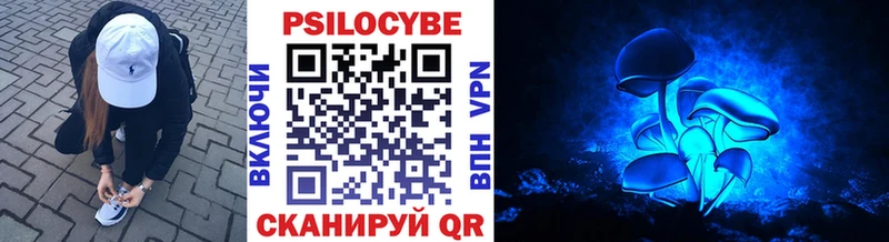 Псилоцибиновые грибы MAGIC MUSHROOMS  наркошоп  Жиздра 
